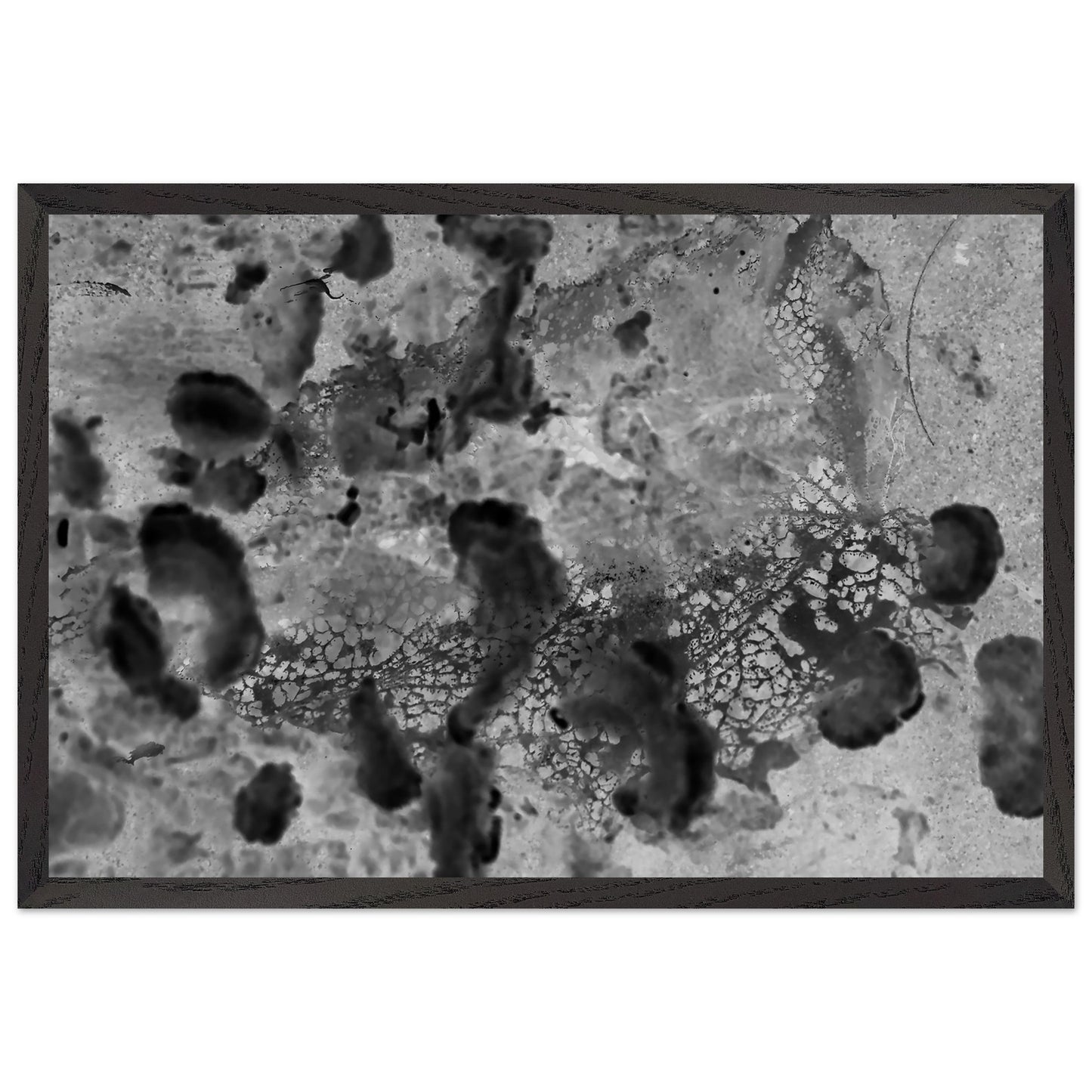 0db56370-4c8f-4e1e-a3ed-ec5d2decb6bc