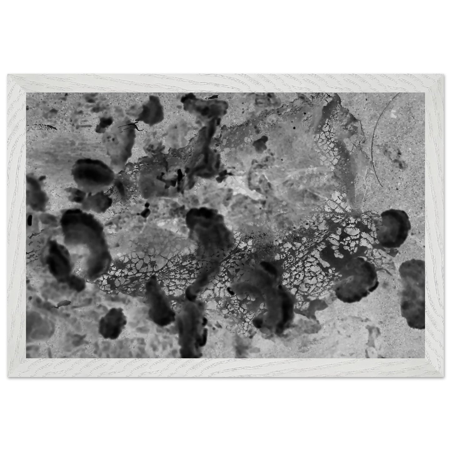 169aa2b8-819c-4fcc-a7c1-6c897c26be0e