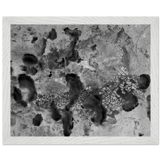 69866dde-3fdf-4866-8933-39a8e7acd557