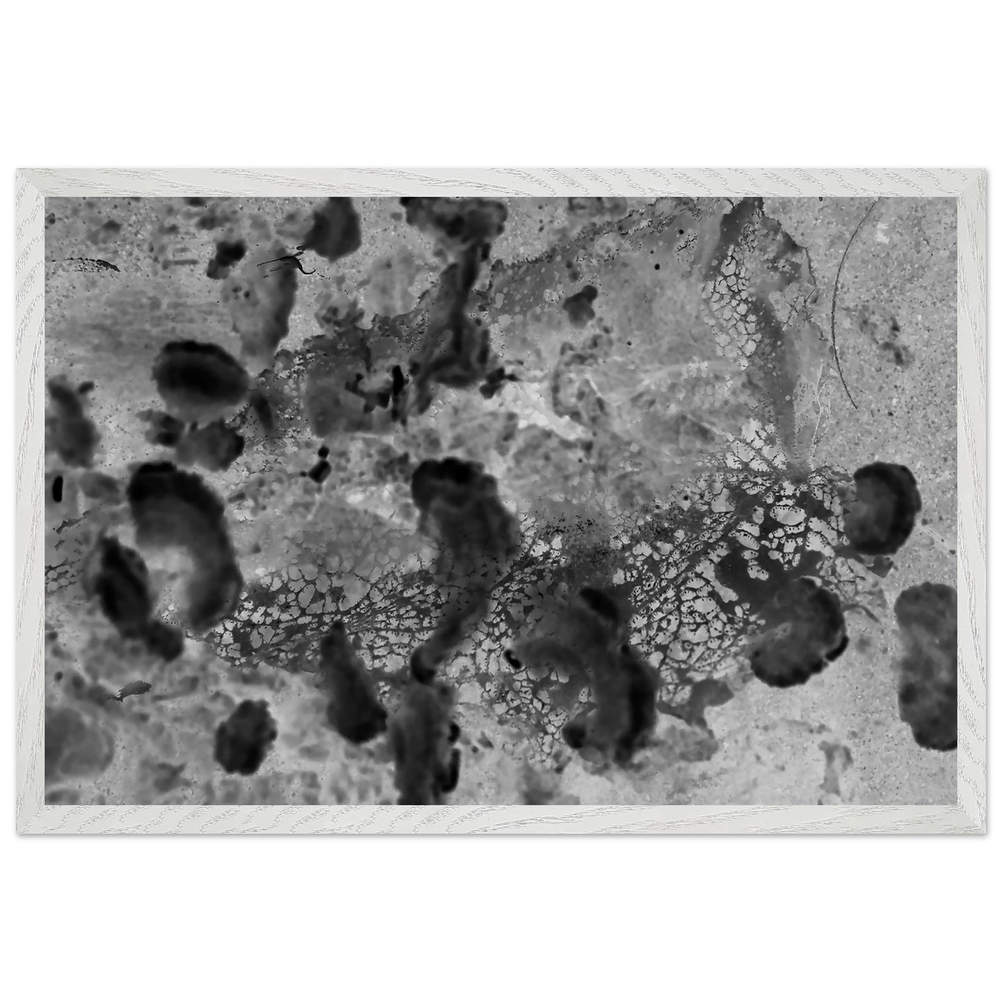 86bdbc9d-81f9-4350-adfe-86412d41ef88