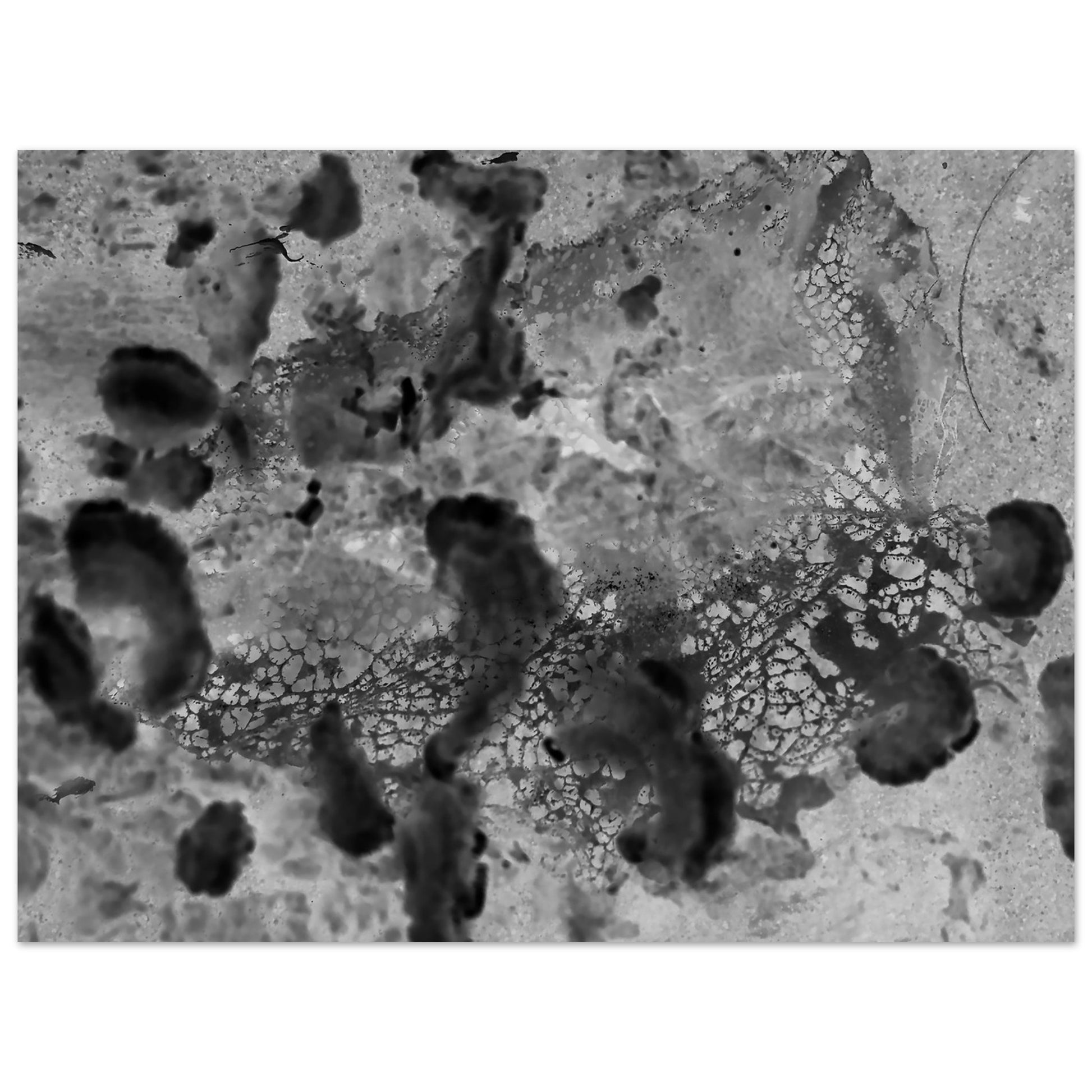 95240b84-1cd6-4e6b-8670-424827c68ea5