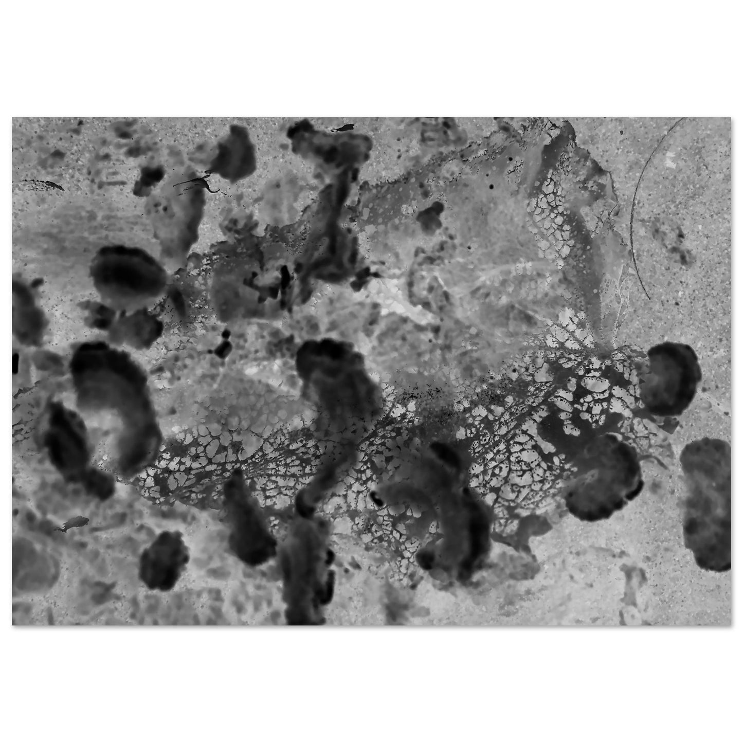 a0e29661-82ef-4666-8340-92f91ce34e4d