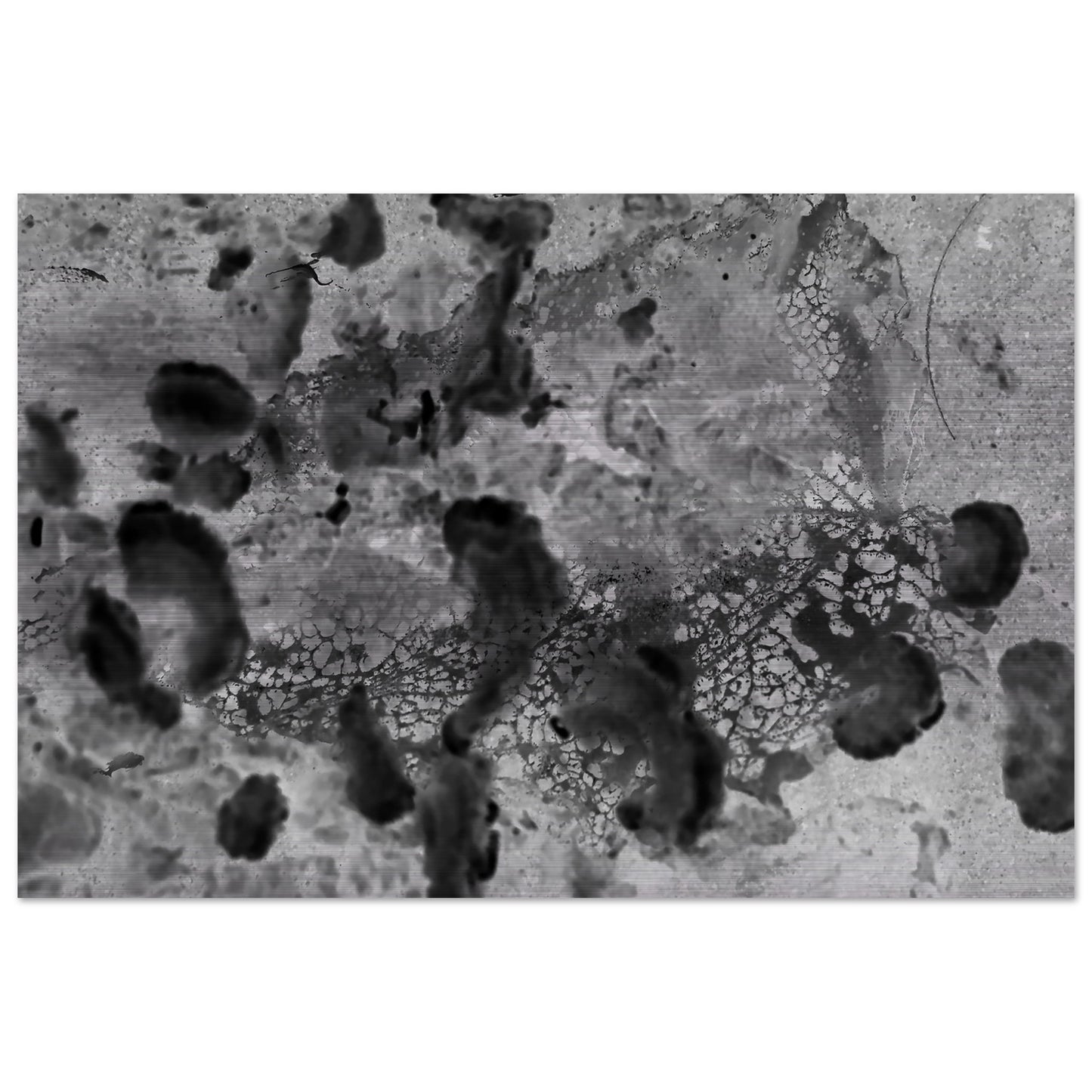 b76552e1-6185-444c-893a-e798dcb19b5d