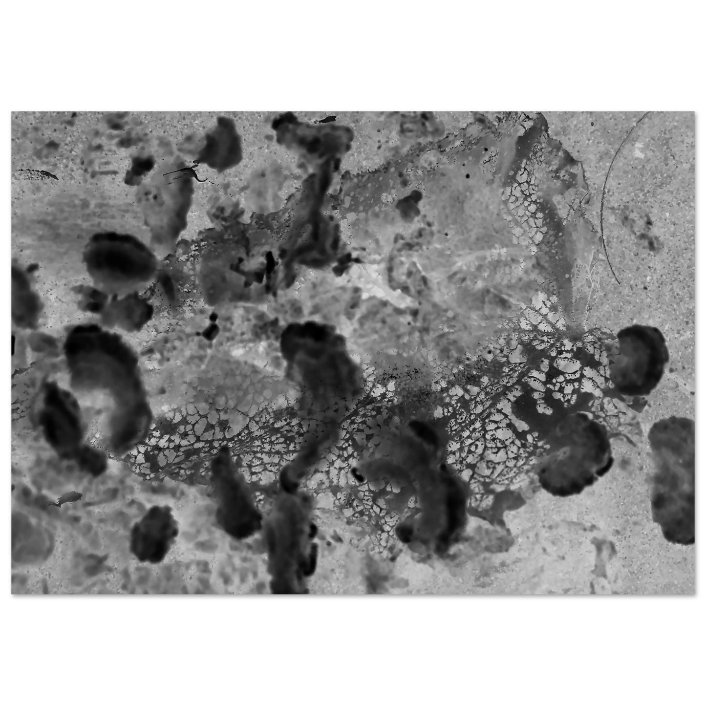 c95220c2-235b-4cfe-993c-0d3f2fec1452