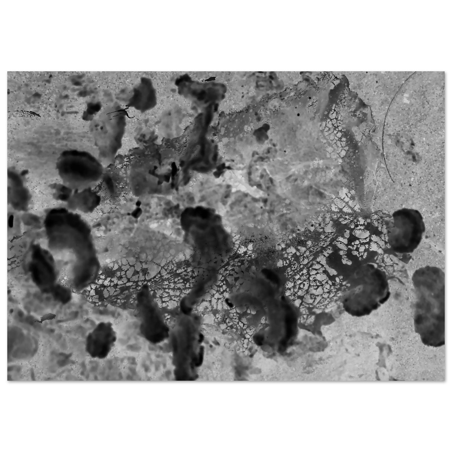 ce1e2150-c8f2-4291-a3e6-91a9e1e64ca3