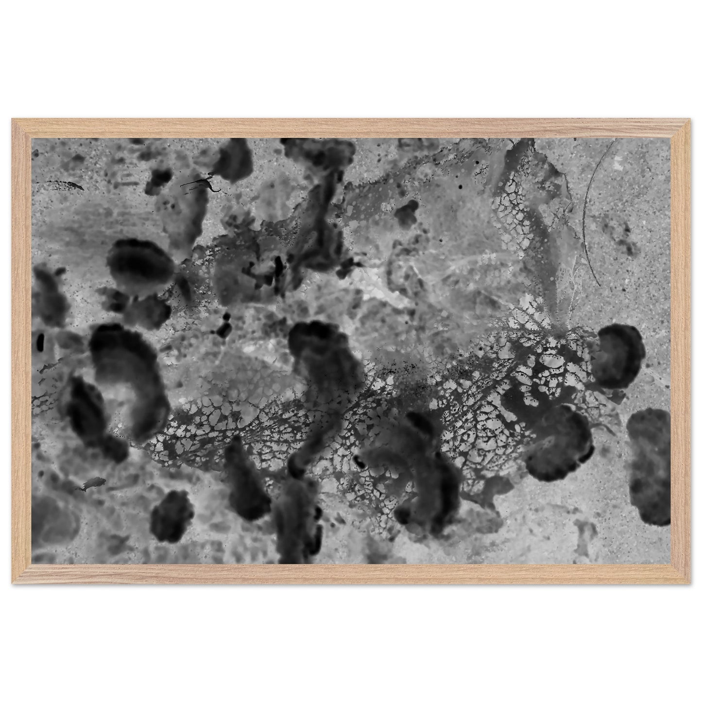 cea13633-2def-4fac-b005-238d2eb98abb