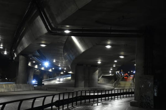 K9 - Fine art photo print